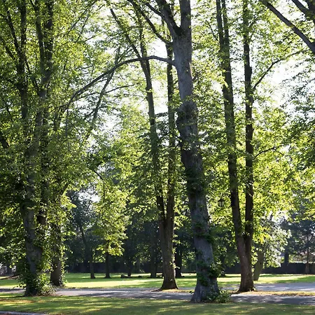 Manor 4*